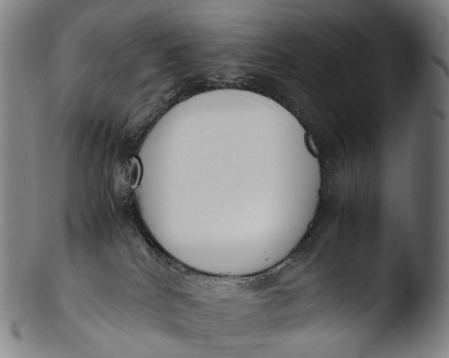 X0000103450040200809261827