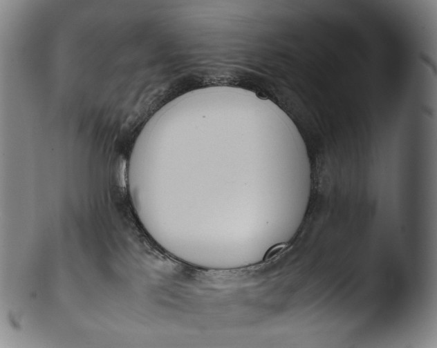 X0000103450041200809261827