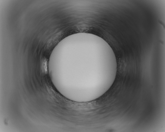 X0000103450042200809261827