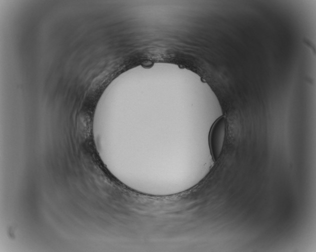 X0000103450043200809261827