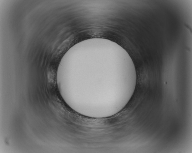 X0000103450044200809261827