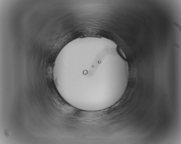 X0000103450045200809261827