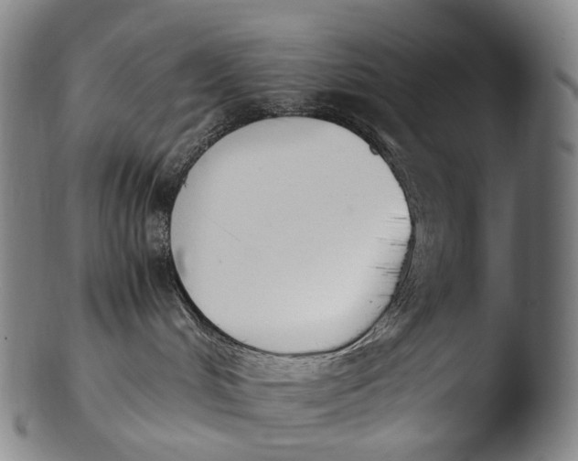 X0000103450048200809261827