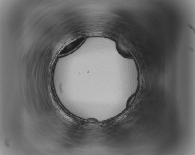 X0000103450049200809261826