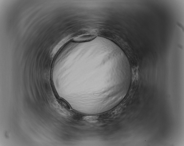 X0000103450051200809261826