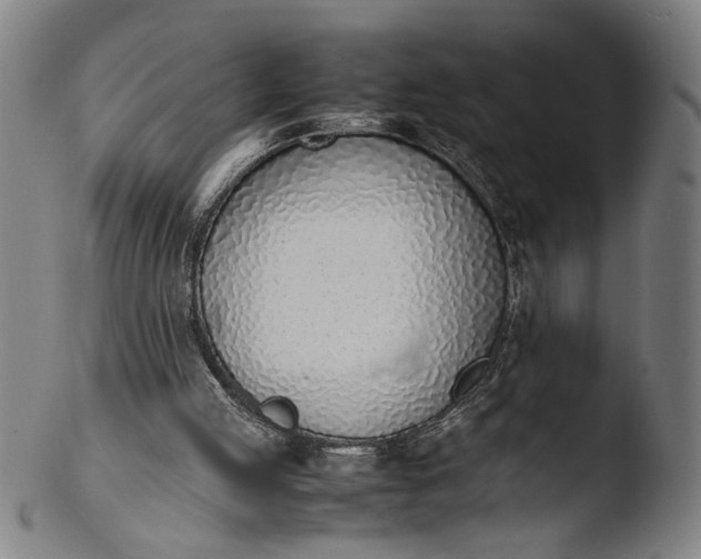 X0000103450053200809261826