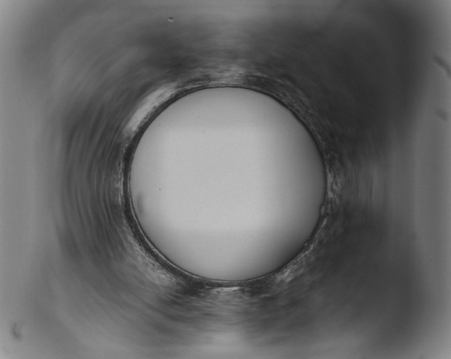 X0000103450054200809261826