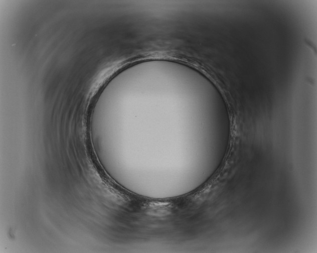 X0000103450055200809261826