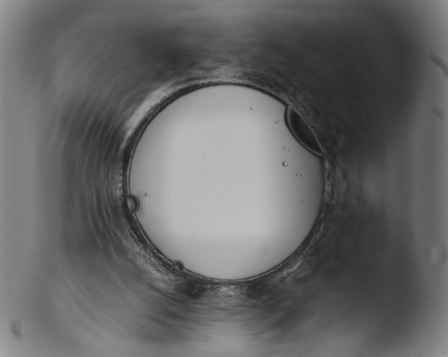 X0000103450056200809261826