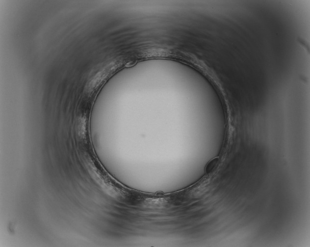 X0000103450057200809261826