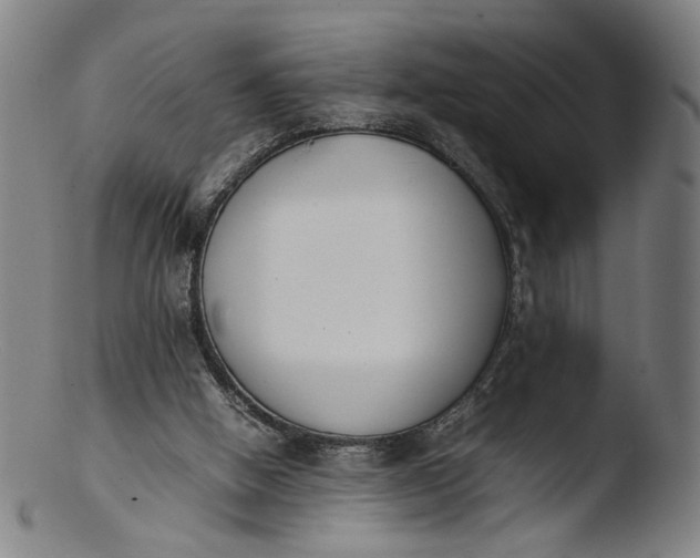 X0000103450058200809261826