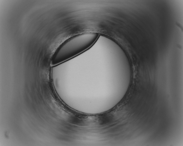 X0000103450060200809261826