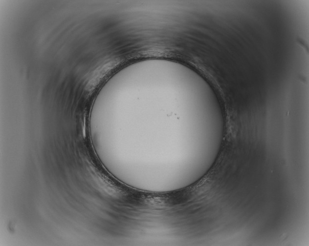 X0000103450062200809261826