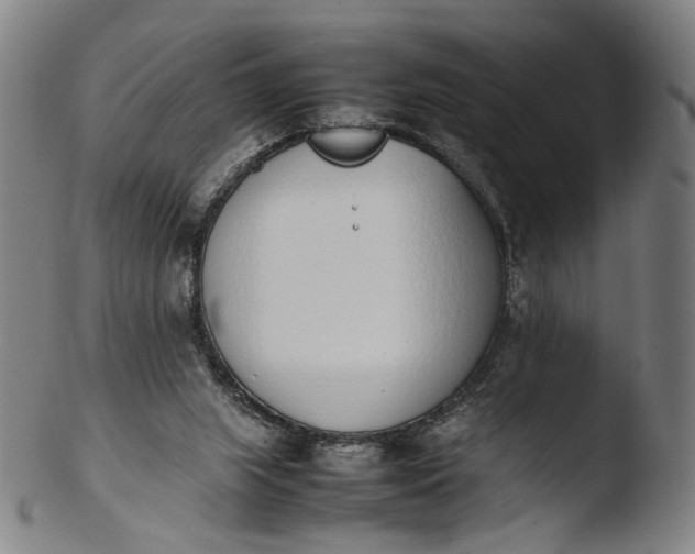 X0000103450063200809261826