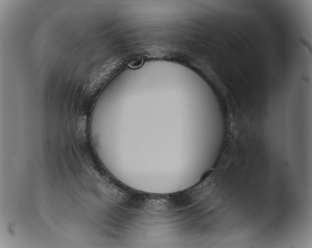 X0000103450066200809261826