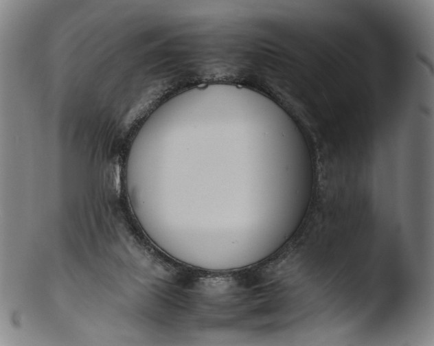 X0000103450067200809261826