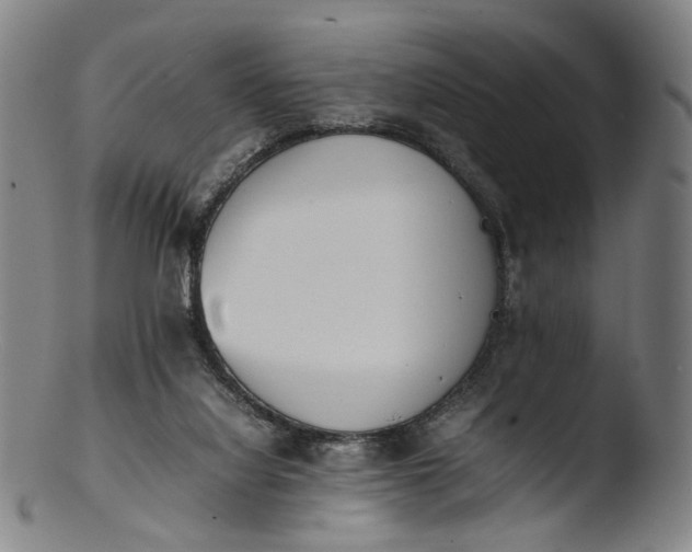 X0000103450068200809261826