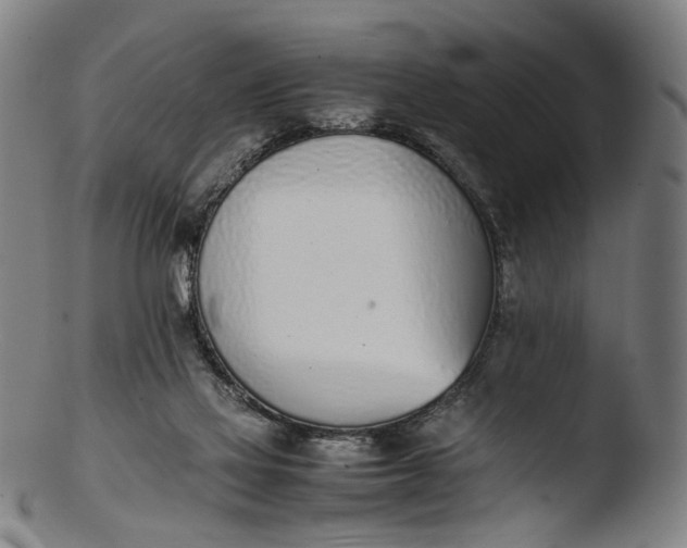 X0000103450069200809261826