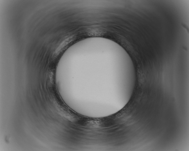 X0000103450071200809261826