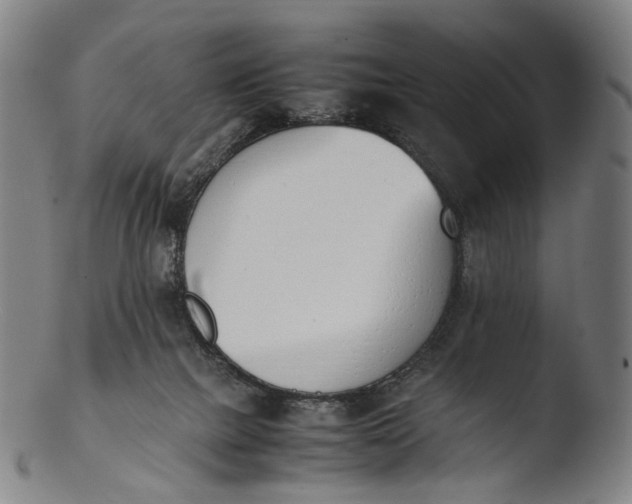 X0000103450073200809261826