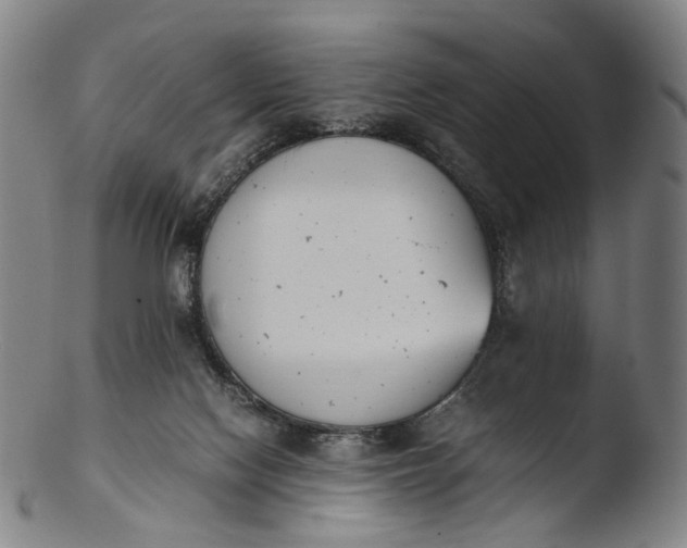 X0000103450074200809261826