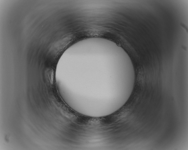 X0000103450076200809261826