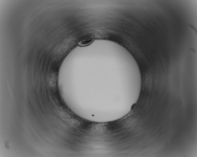 X0000103450078200809261826