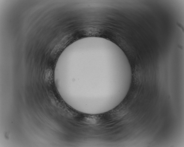 X0000103450079200809261827