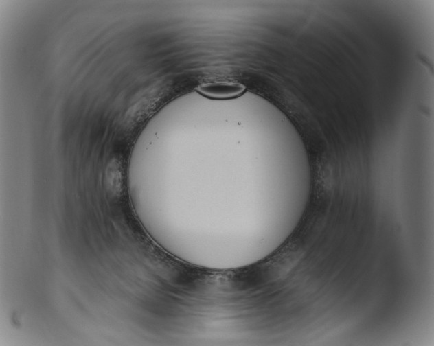 X0000103450080200809261827