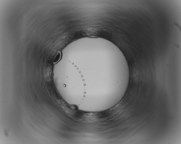 X0000103450082200809261827