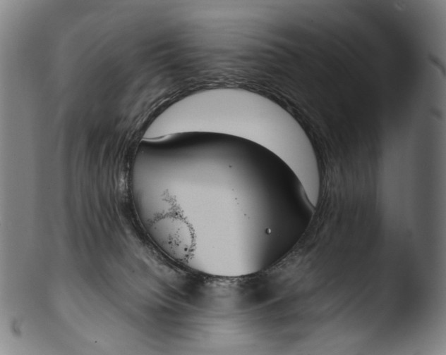 X0000103450084200809261827