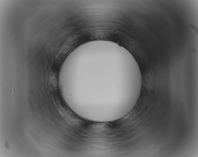 X0000103450086200809261827