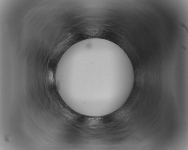 X0000103450089200809261827