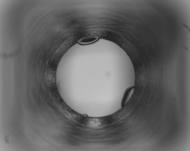 X0000103450091200809261827