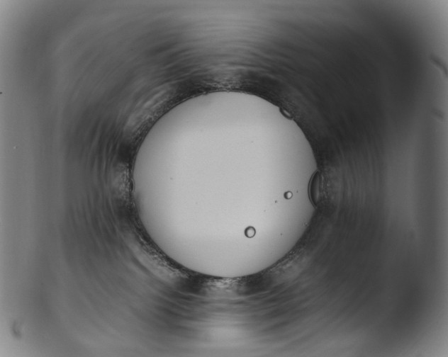 X0000103450092200809261827