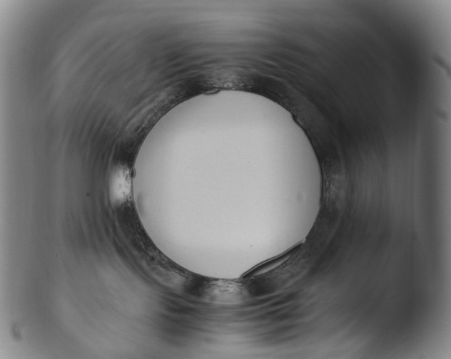 X0000103450095200809261827