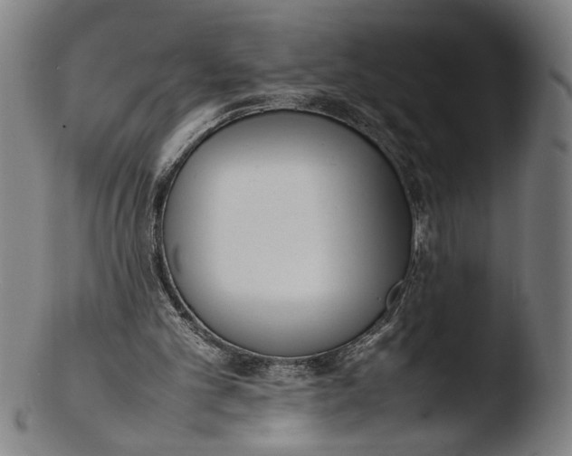 X0000103450101200809261826