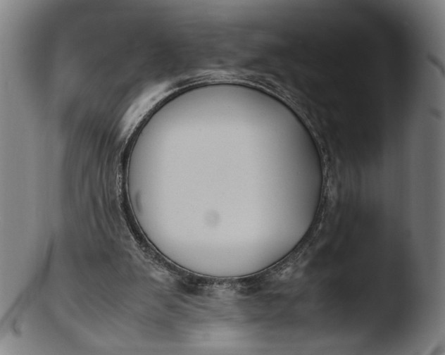 X0000103450103200809261826