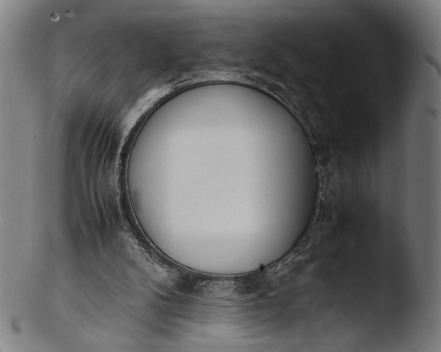 X0000103450104200809261826