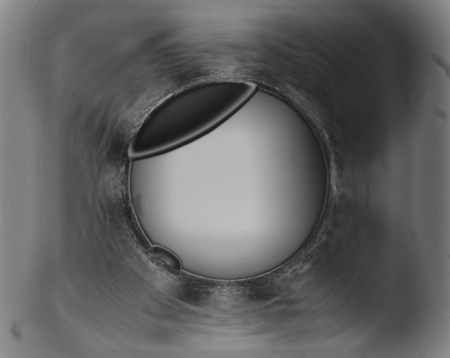 X0000103450105200809261826