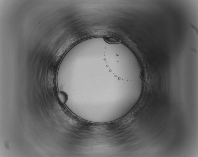 X0000103450106200809261826