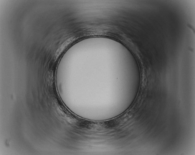 X0000103450107200809261826