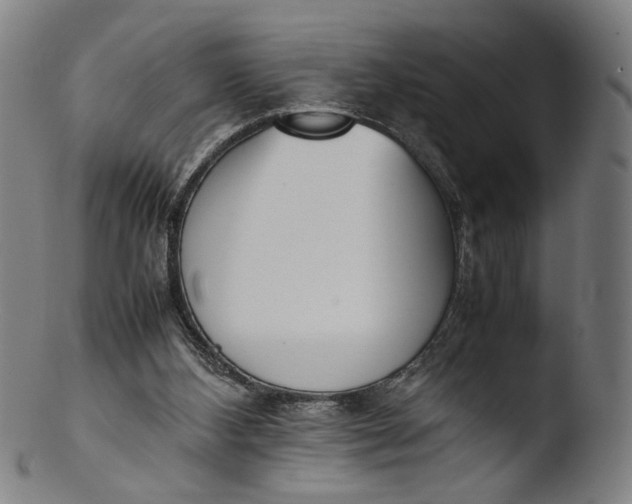 X0000103450108200809261826