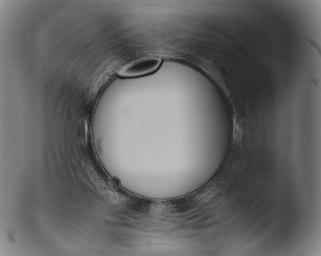 X0000103450109200809261826