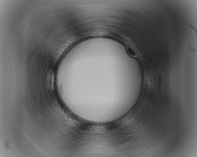 X0000103450110200809261826