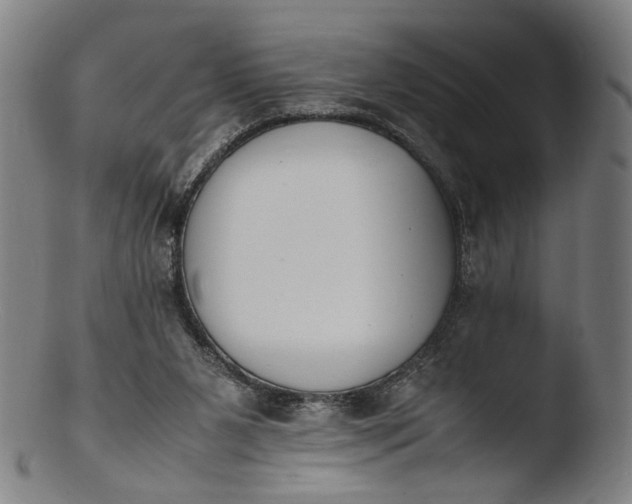 X0000103450111200809261826