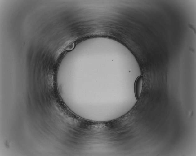 X0000103450112200809261826