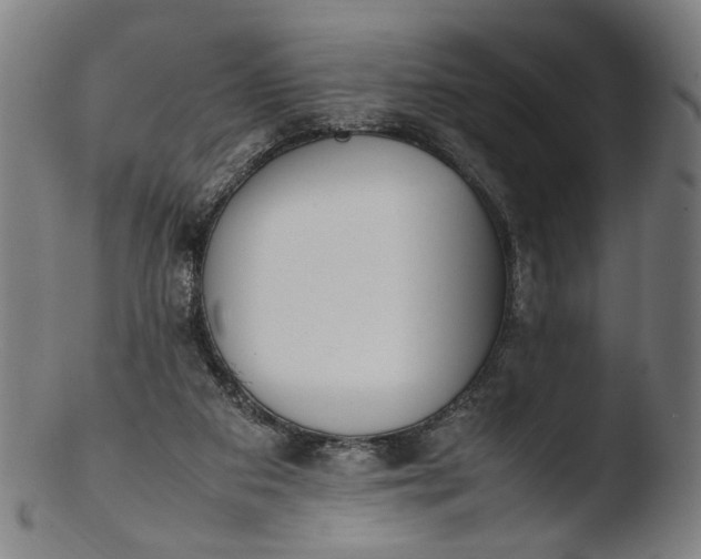 X0000103450113200809261826