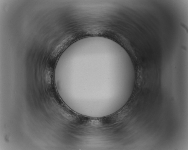 X0000103450114200809261826