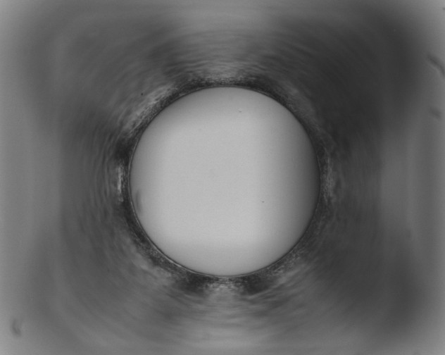 X0000103450115200809261826